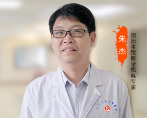 专家团队